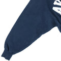 champion reverse weave hoodie 90s