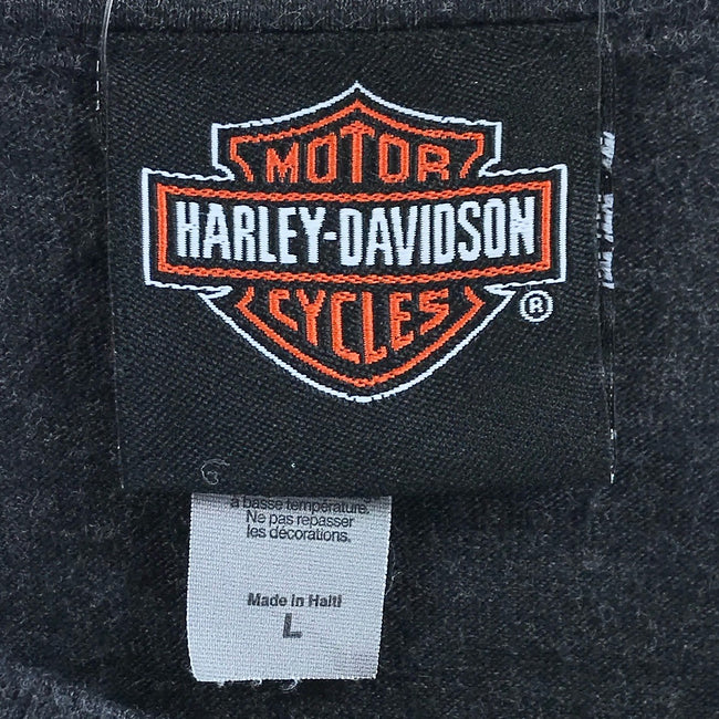 harley-davidson × aerosmith tee