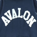 champion reverse weave hoodie 90s